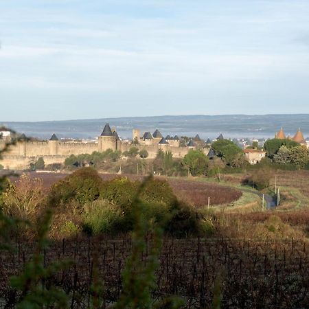 Villa Des Cathares Carcassonne Luaran gambar