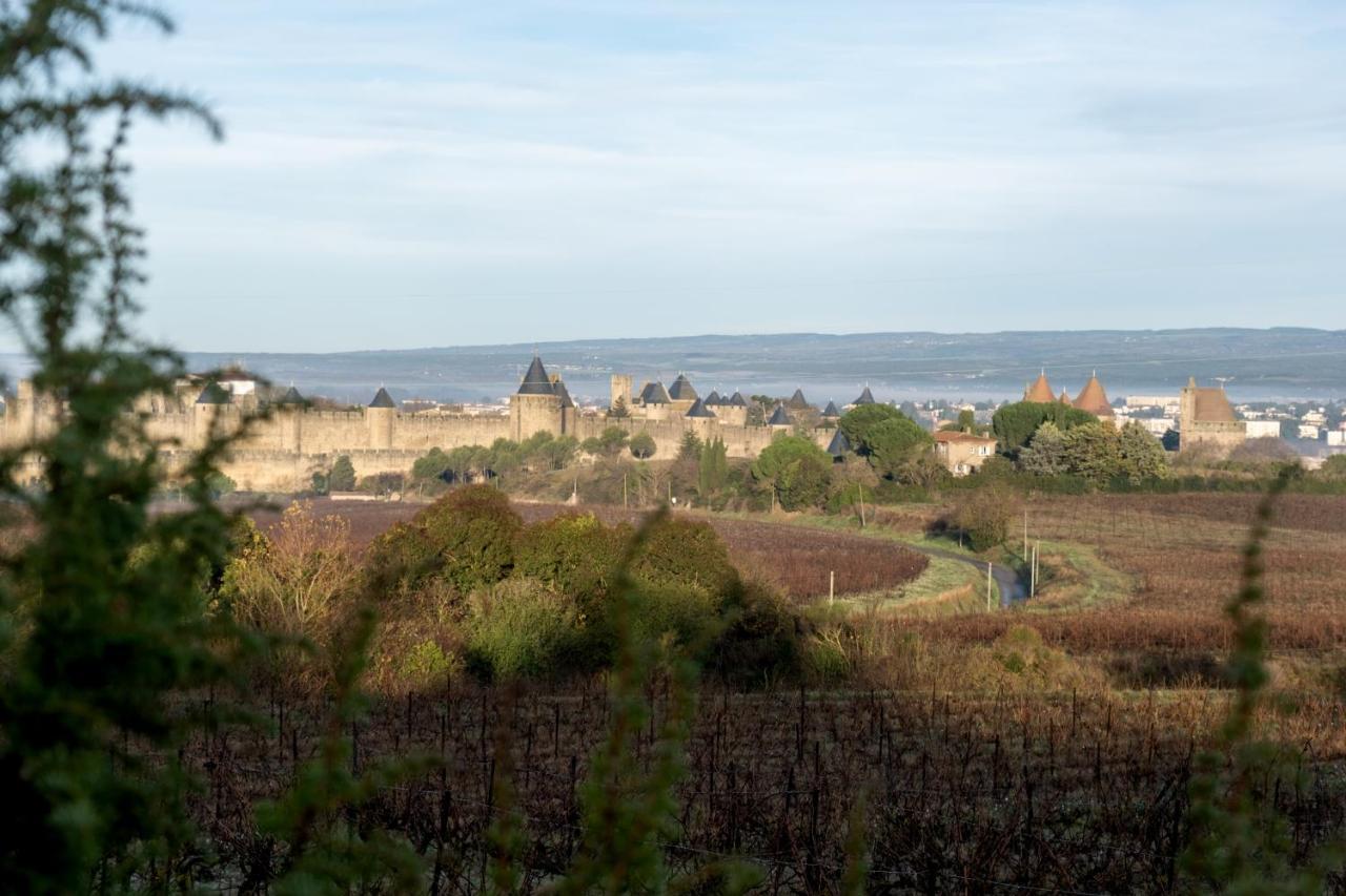 Villa Des Cathares Carcassonne Luaran gambar