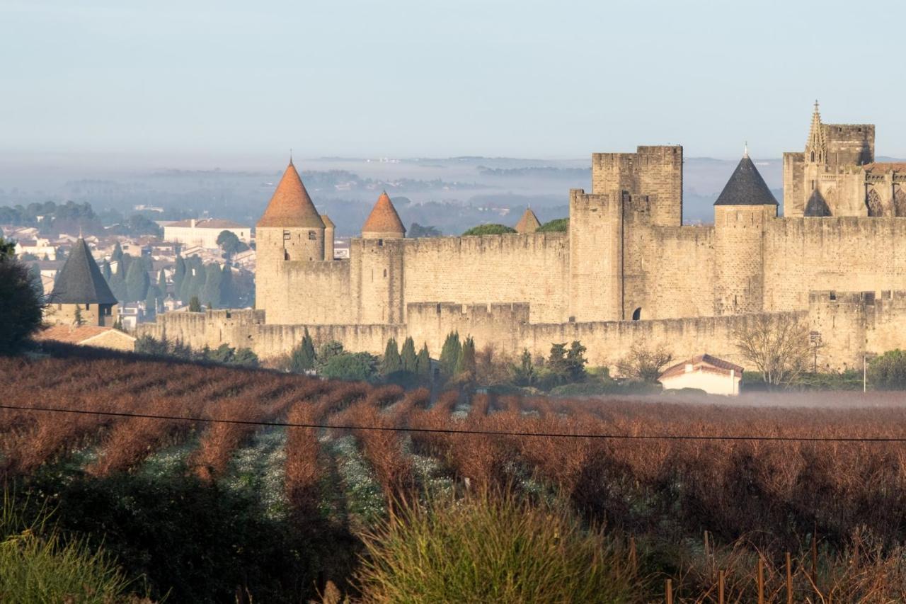Villa Des Cathares Carcassonne Luaran gambar
