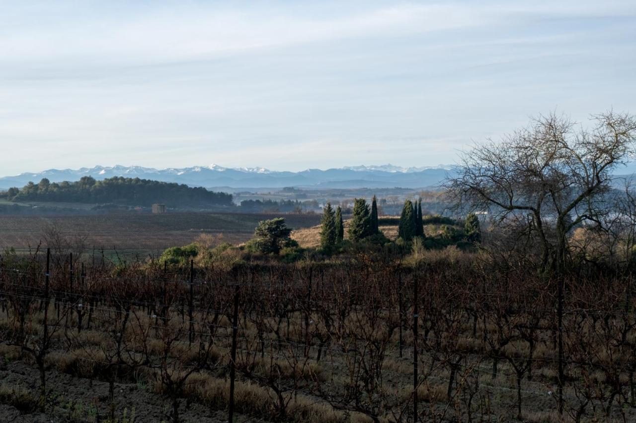 Villa Des Cathares Carcassonne Luaran gambar